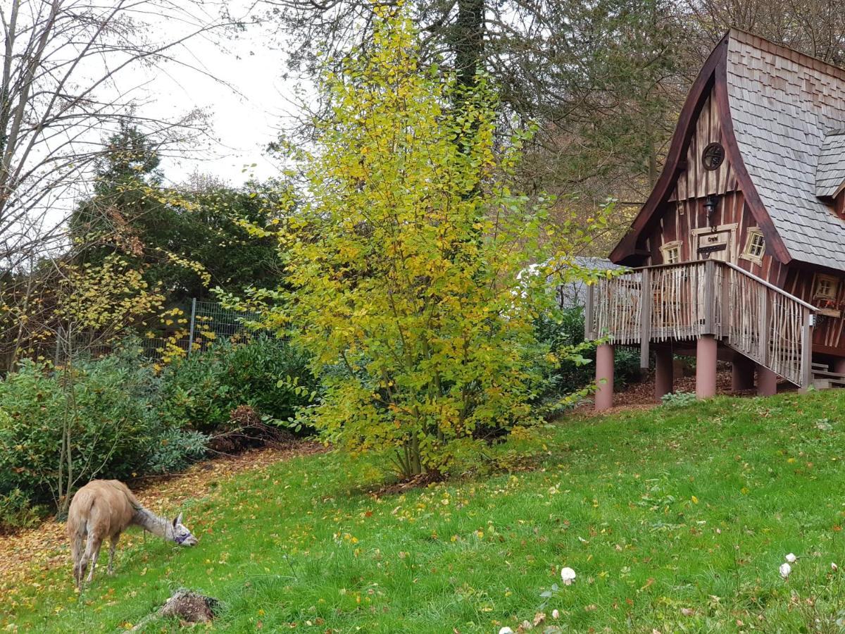 Hexenhaeuschen Am Waldrand Villa Annweiler am Trifels Dış mekan fotoğraf