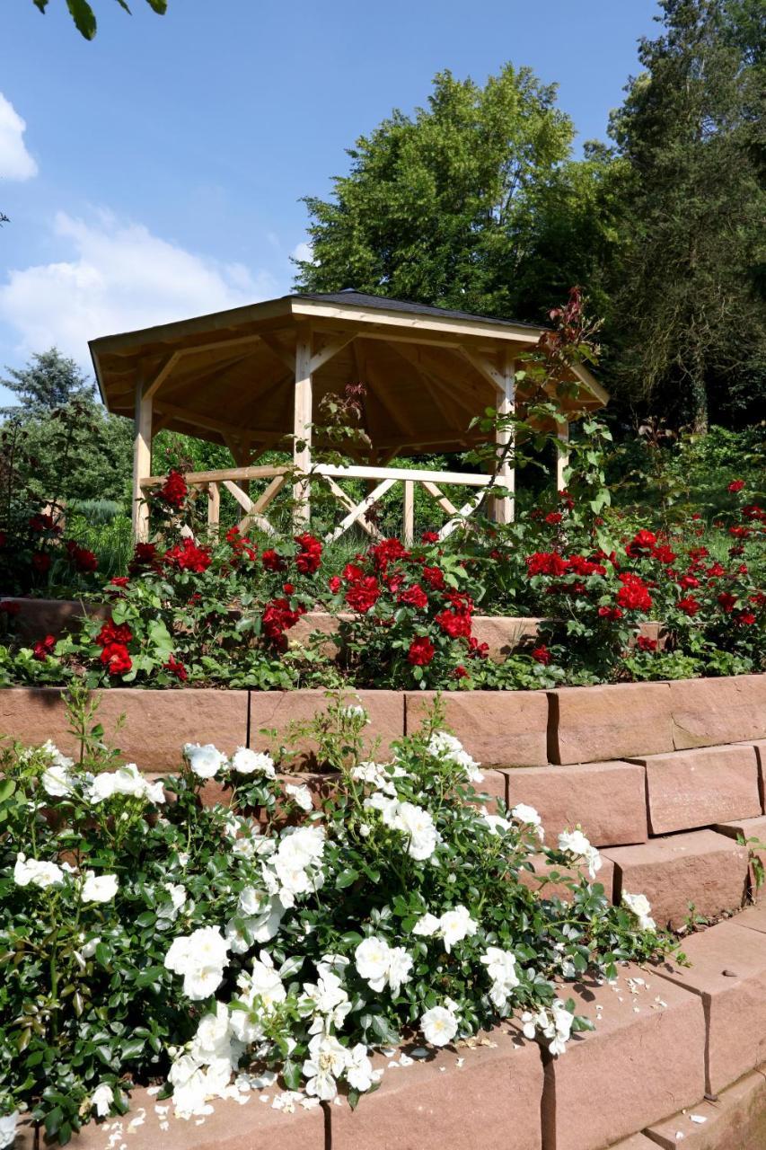 Hexenhaeuschen Am Waldrand Villa Annweiler am Trifels Dış mekan fotoğraf